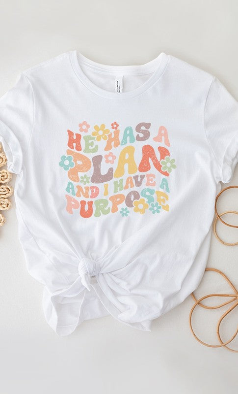 He Has Plan I Have Purpose Graphic Tee