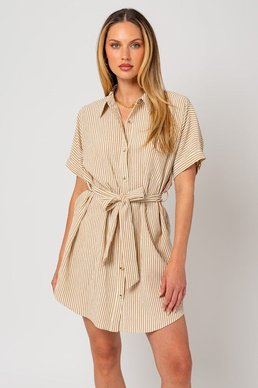 Sierra Button Down Shirt Dress