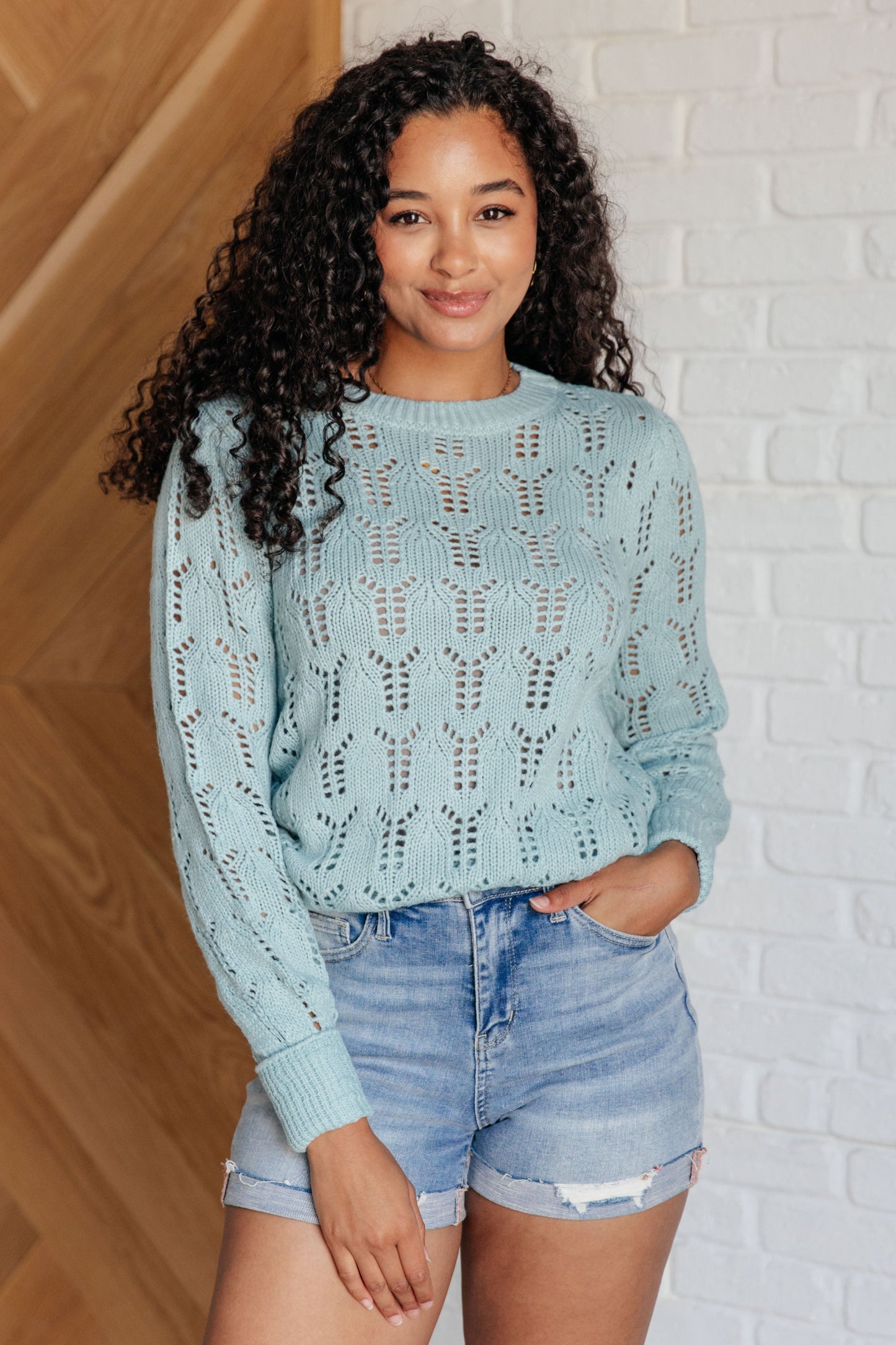 Sherry Sheer Pointelle Knit Sweater