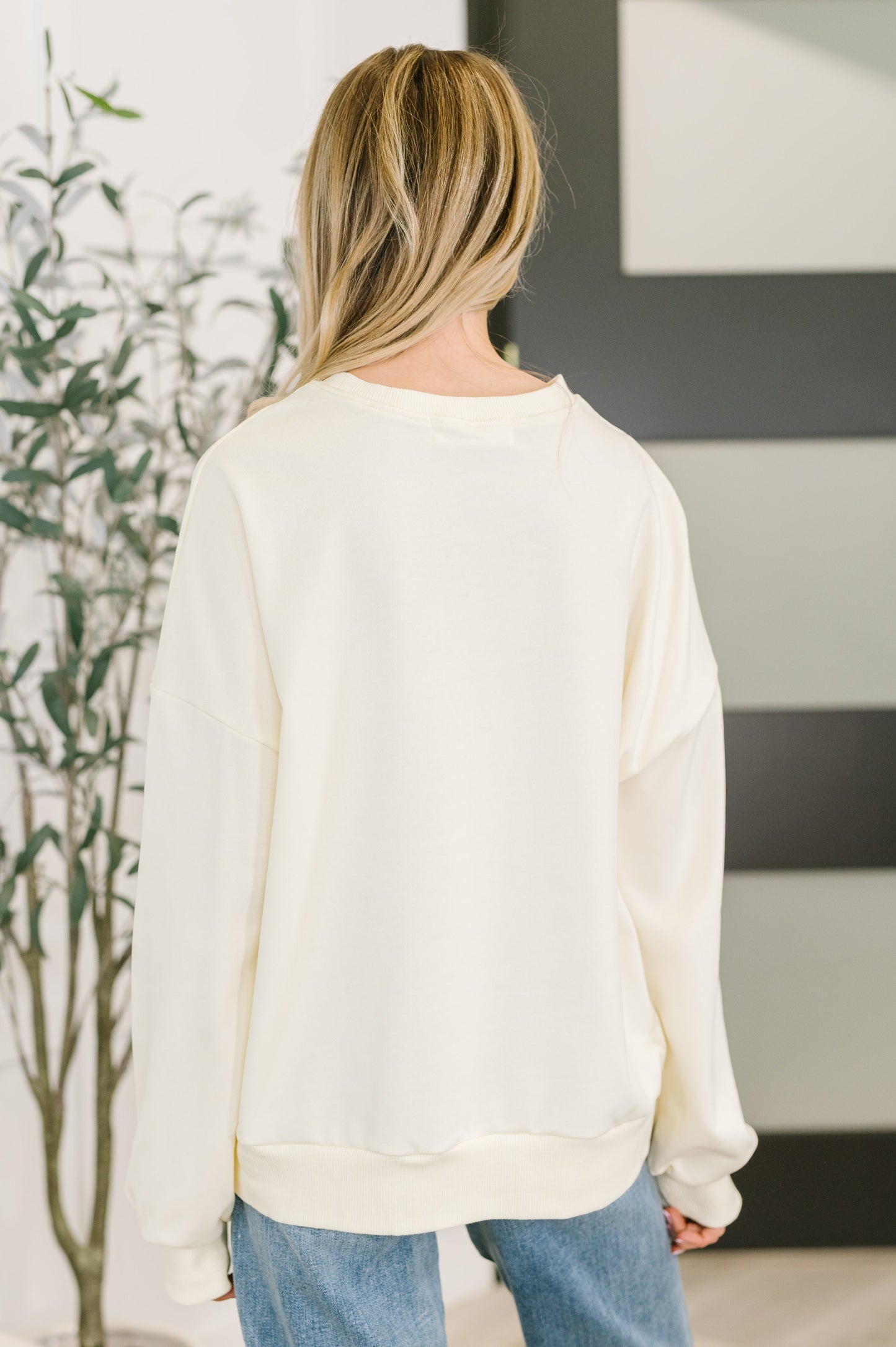 Charlie Color Block Relaxed Pullover